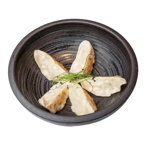 14 GYOZA